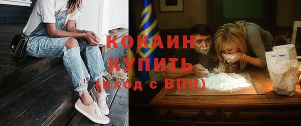 молекула духа Алексин