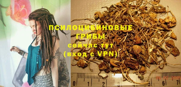 a pvp Алексеевка
